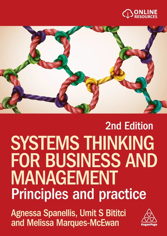 Systems Thinking for Business and Management: Principles and Practice