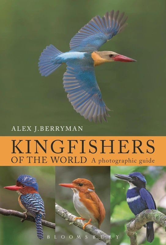 Kingfishers of the World