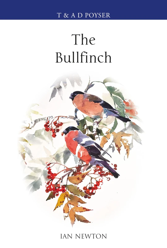 The Bullfinch (Poyser Monographs) - Image 1
