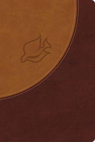 Tan (NIV, New Spirit-Filled Life Bible, Imitation Leather, Brown/Tan: Kingdom Equipping Through the Power of the Word)