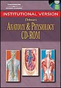 CD Network Vers-Anatomy/Physlg