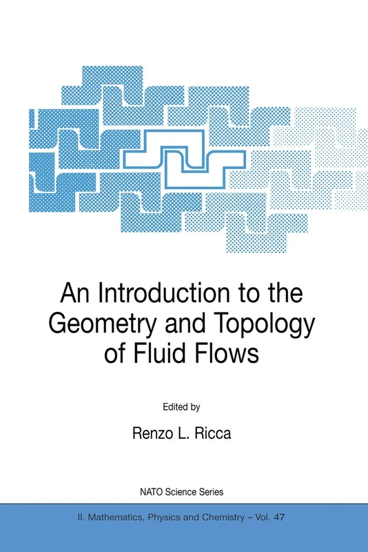 An Introduction to the Geometry and Topology of Fluid Flows: 47 (NATO Science Series II: Mathematics, Physics and Chemistry, 47)
