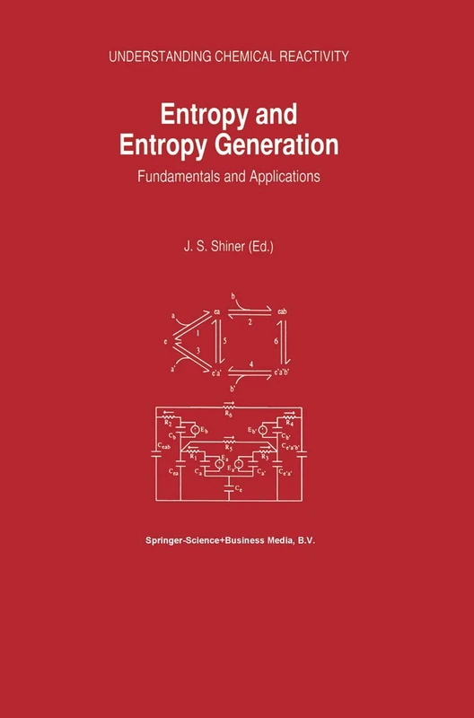 Entropy and Entropy Generation: Fundamentals and Applications: 18 (Understanding Chemical Reactivity, 18)