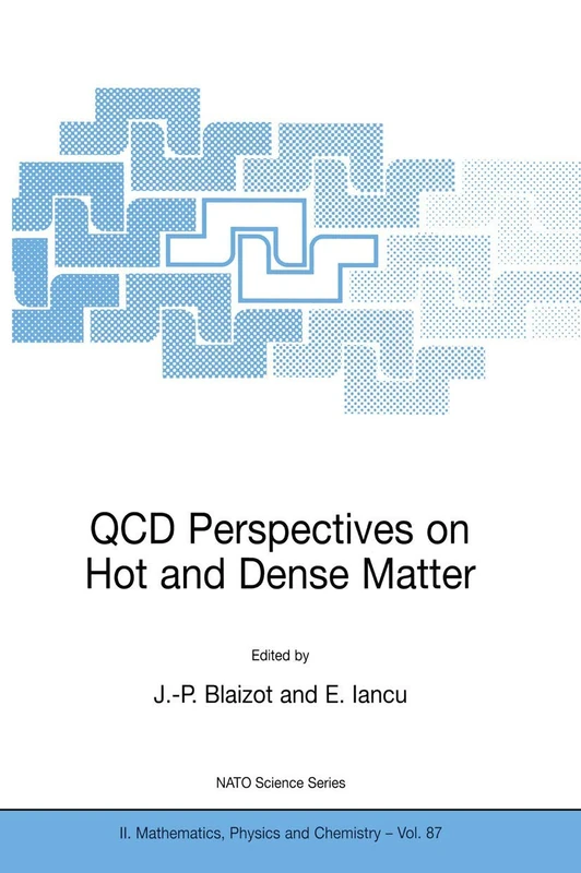 QCD Perspectives on Hot and Dense Matter: 87 (NATO Science Series II: Mathematics, Physics and Chemistry, 87)