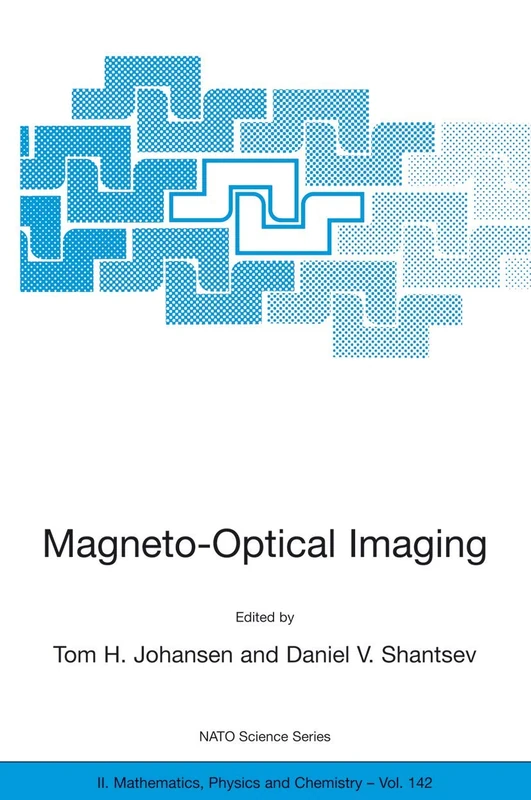Magneto-Optical Imaging: 142 (NATO Science Series II: Mathematics, Physics and Chemistry, 142)