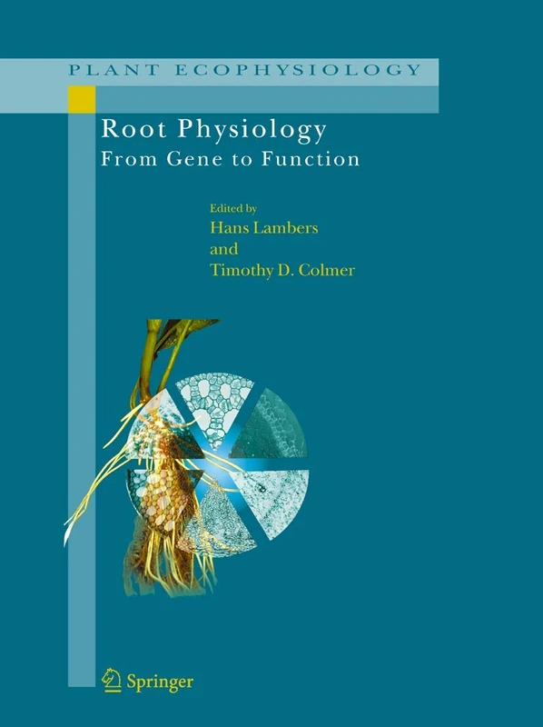 Root Physiology: from Gene to Function: 4 (Plant Ecophysiology, 4)