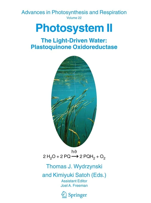 Photosystem II: The Light-Driven Water:Plastoquinone Oxidoreductase: 22 (Advances in Photosynthesis and Respiration, 22)