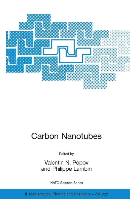 Carbon Nanotubes: From Basic Research to Nanotechnology: 222 (NATO Science Series II: Mathematics, Physics and Chemistry, 222)