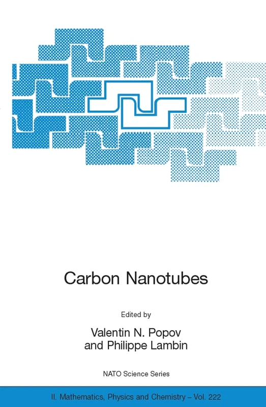 Carbon Nanotubes: From Basic Research to Nanotechnology: 222 (NATO Science Series II: Mathematics, Physics and Chemistry, 222)