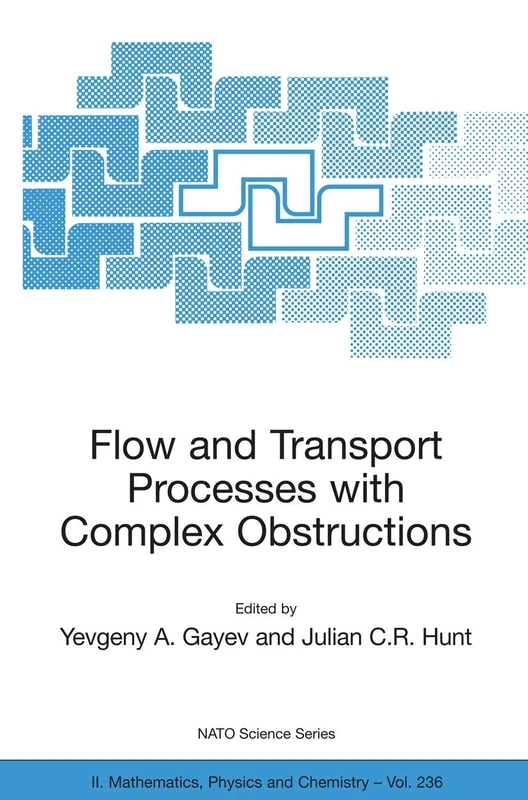 Flow and Transport Processes with Complex Obstructions: Applications to Cities, Vegetative Canopies and Industry: 236 (NATO Science Series II: Mathematics, Physics and Chemistry, 236)