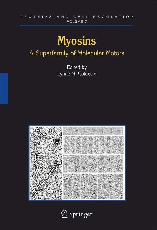 Springer Myosins: A Superfamily of Molecular Motors - Vol 7