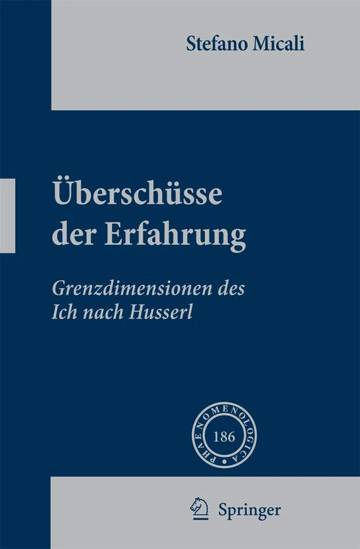 Überschüsse der Erfahrung: Grenzdimensionen des Ich nach Husserl: 186 (Phaenomenologica, 186)