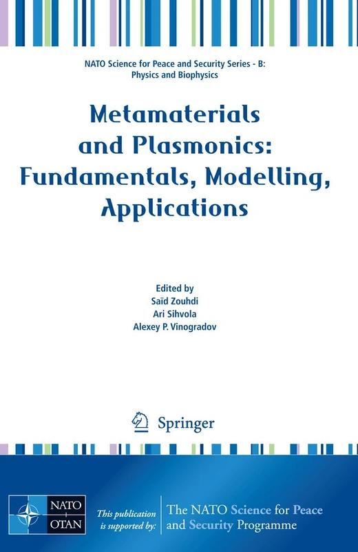 Metamaterials and Plasmonics: Fundamentals, Modelling, Applications (NATO Science for Peace and Security Series B: Physics and Biophysics)