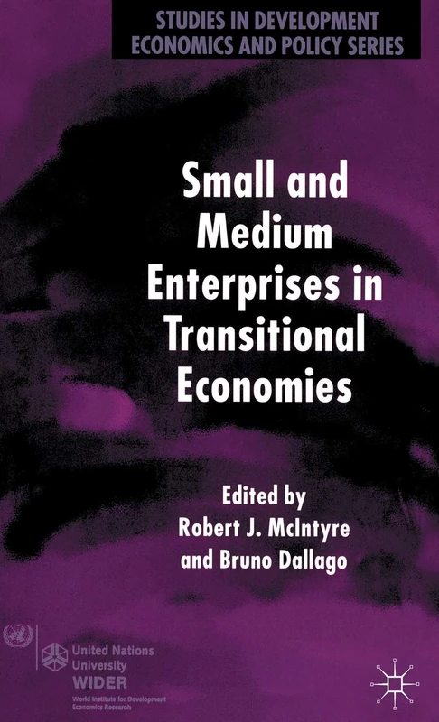 Small and Medium Enterprises in Transitional Economies (Studies in Development Economics and Policy) - Image 1