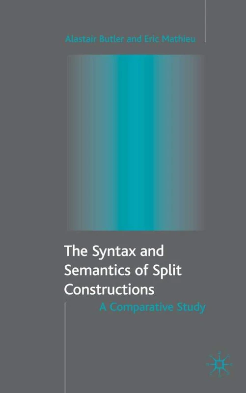 The Syntax and Semantics of Split Constructions: A Comparative Study