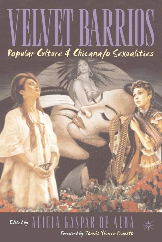 Velvet Barrios: Popular Culture and Chicana/o Sexualities (New Directions in Latino American Cultures) - Image 1