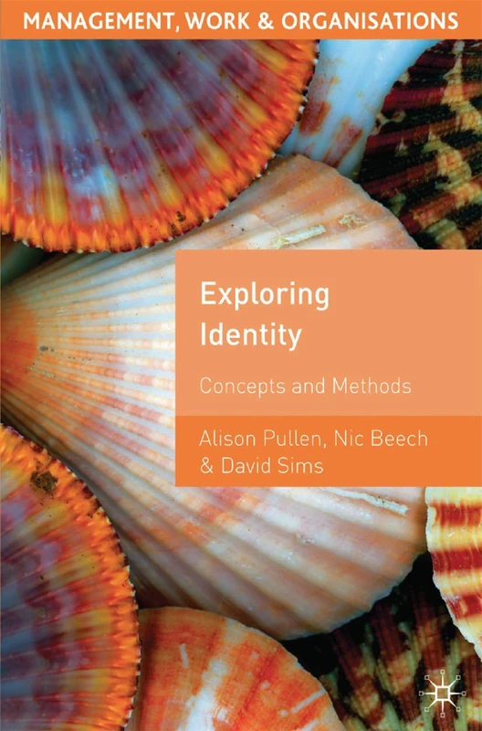 Exploring Identity: Concepts and Methods: 41 (Management, Work and Organisations)