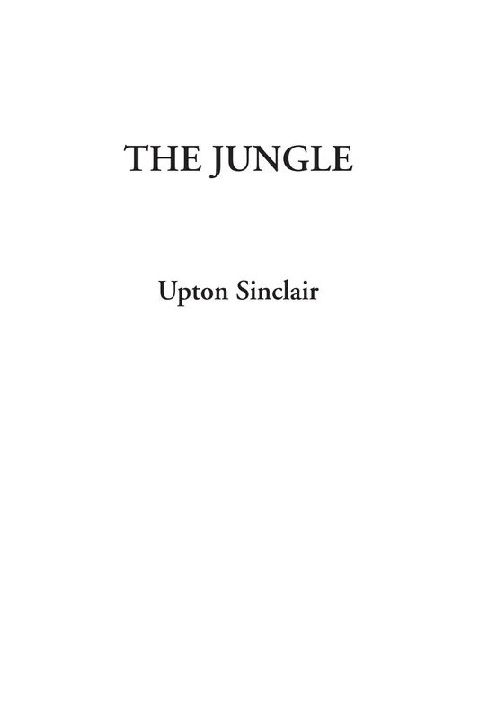The Jungle