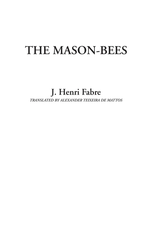 The Mason-bees - Image 1