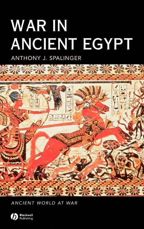 War in Ancient Egypt: The New Kingdom: 6 (Ancient World at War)