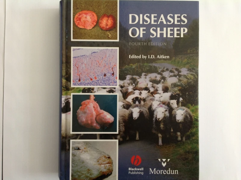 Diseases of Sheep