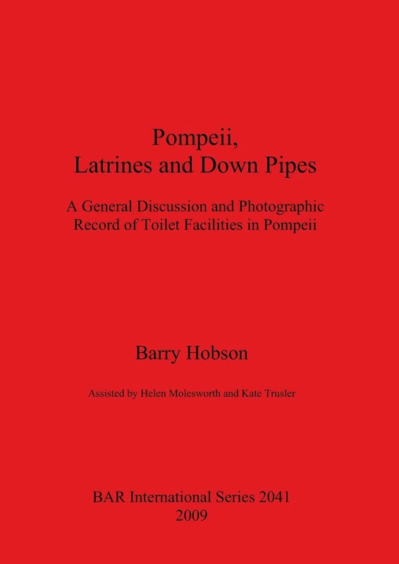 Pompeii Latrines and Down Pipes - British Archaeological Reports