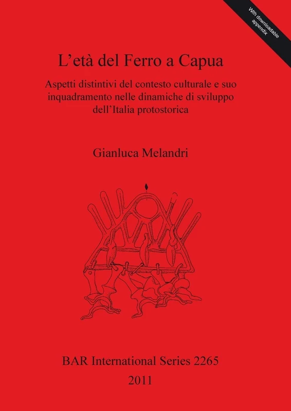 L' età del Ferro a Capua Aspetti distintivi del contesto culturale e suo inquadramento nelle dinamiche di sviluppo dell'Italia protostorica: Aspetti ... Archaeological Reports International Series)