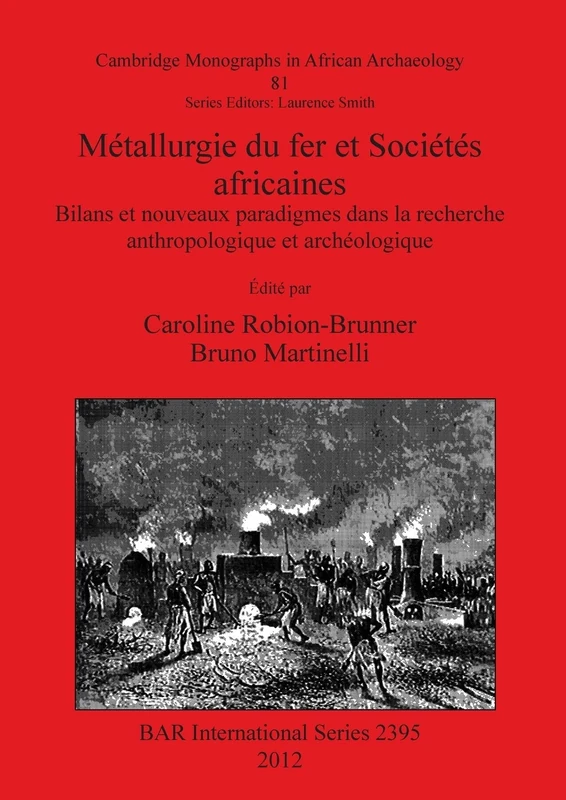 Métallurgie du fer et Sociétés africaines: Bilans et nouveaux paradigmes dans la recherche anthropologique et archéologique: 2395 (British Archaeological Reports International Series)