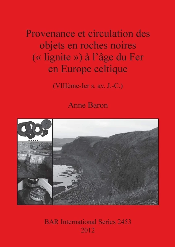 Provenance et circulation des objets en roches noires (« lignite ») à l'âge du Fer en Europe celtique (VIIIème-Ier s. av. J.-C.): (VIIIème-Ier s. av. ... Archaeological Reports International Series)