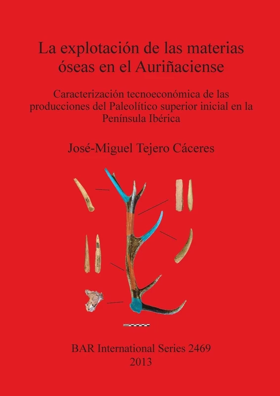 La Explotacion Tecnoeconomica De Las Materias Oseas En El Aurinaciense: Caracterización tecnoeconómica de las producciones del Paleolítico superior ... Archaeological Reports International Series)