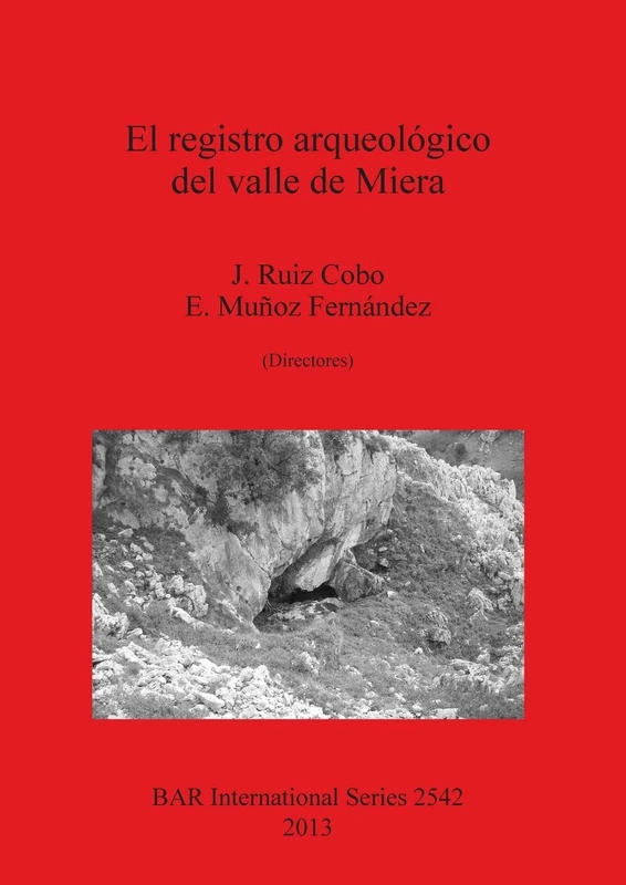 El registro arqueológico del valle de Miera: 2542 (British Archaeological Reports International Series)