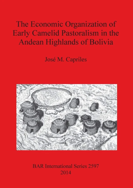 The Economic Organization of Early Camelid Pastoralism in the Andean Highlands of Bolivia: 2597 (British Archaeological Reports International Series)