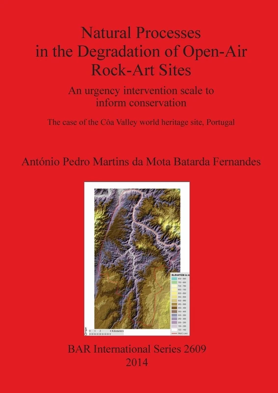 Natural Processes in the Degradation of Open-Air Rock-Art Sites: An urgency intervention scale to inform conservation: The case of the Côa Valley ... Archaeological Reports International Series)