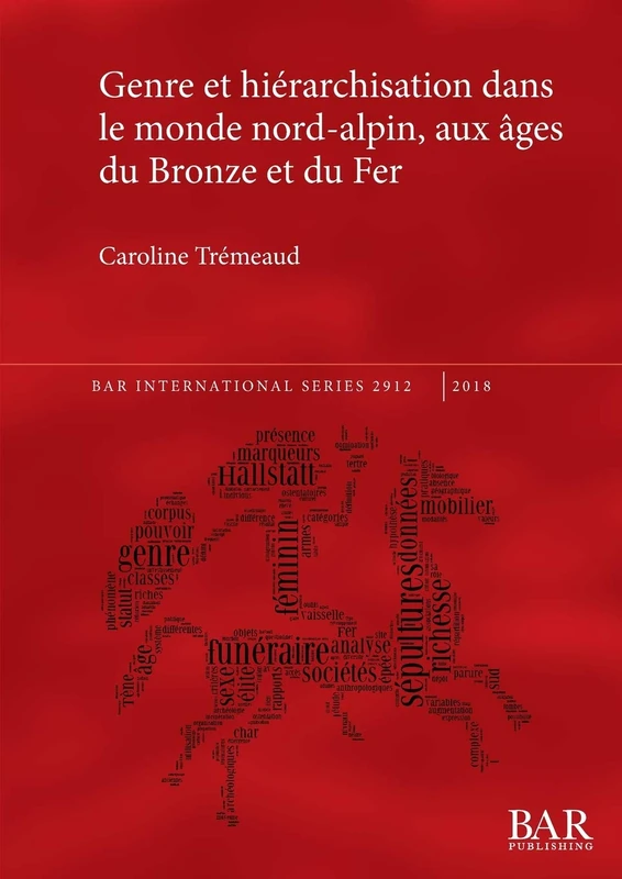 Genre et hiérarchisation dans le monde nord-alpin, aux âges du Bronze et du Fer: 2912 (British Archaeological Reports International Series)