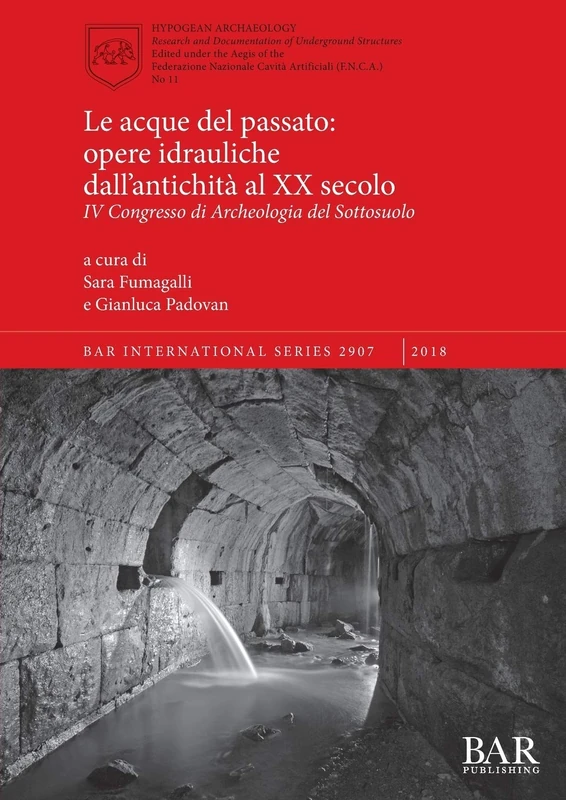 Le acque del passato: opere idrauliche dall'antichità al XX secolo: IV Congresso di Archeologia del Sottosuolo: 2907 (British Archaeological Reports International Series)