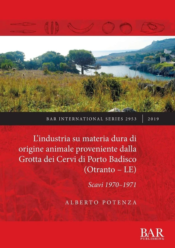 L' industria su materia dura di origine animale proveniente dalla Grotta dei Cervi di Porto Badisco (Otranto - LE): Scavi 1970-1971: 2953 (British Archaeological Reports International Series)