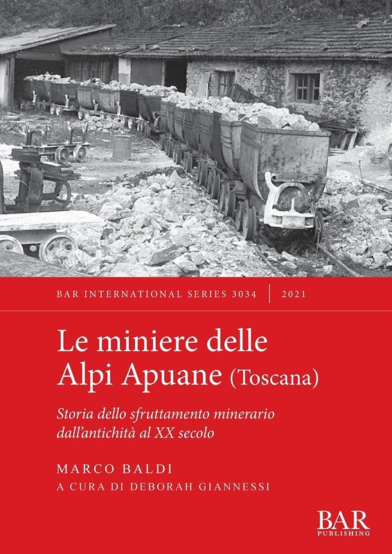 Le Miniere delle Alpi Apuane meridionali (Toscana): Storia dello sfruttamento minerario dall'antichità al XX secolo: 3034 (British Archaeological Reports International Series)
