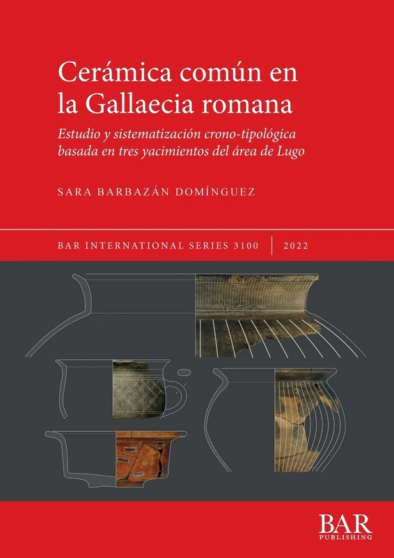 Cerámica común en la Gallaecia romana: Estudio y sistematización crono-tipológica basada en tres yacimientos del área de Lugo: 3100 (British Archaeological Reports International Series)