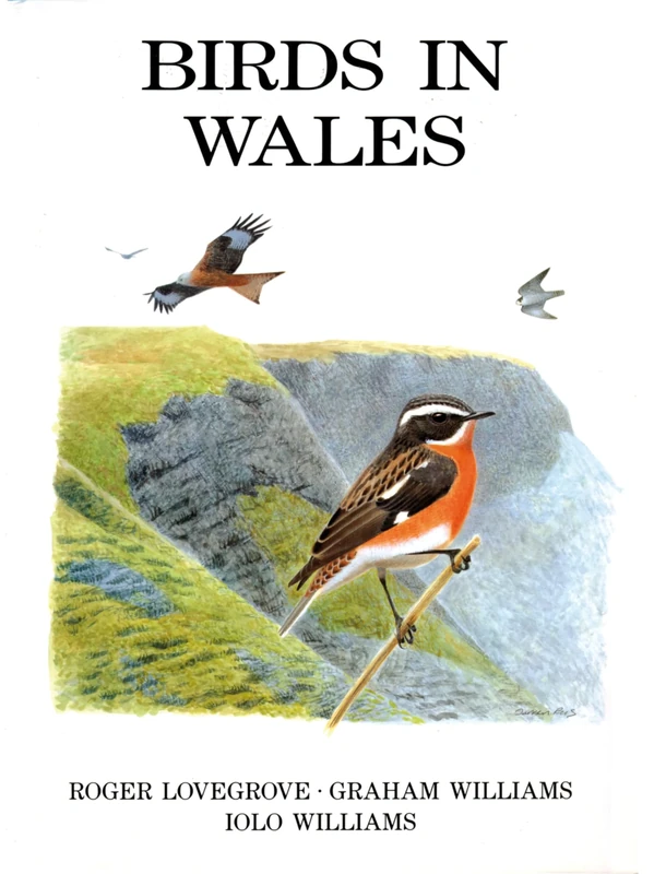 Birds in Wales