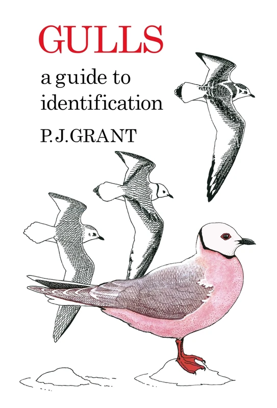 Gulls: A Guide to Identification. 2nd Edition (Poyser Monographs)