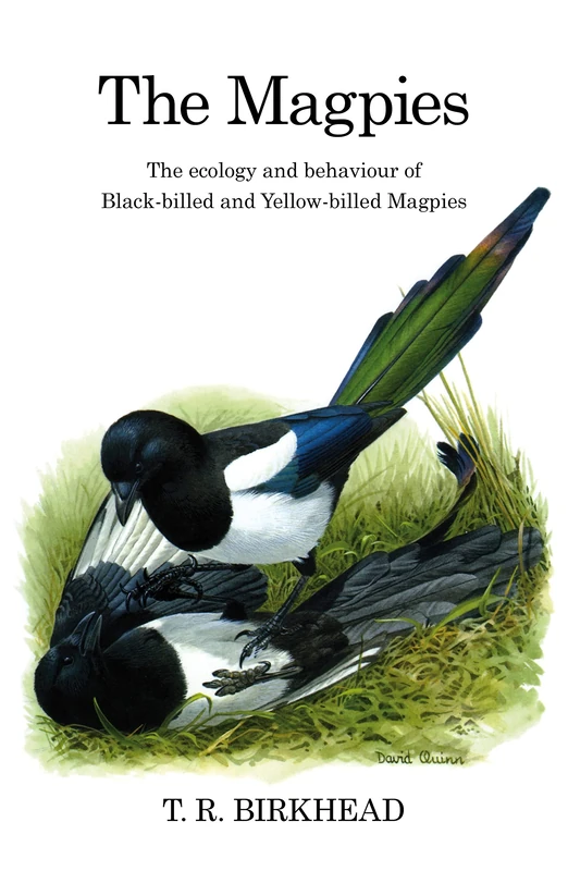 The Magpies: The Ecology and Behaviour of Black-Billed and Yellow-Billed Magpies (Poyser Monographs)