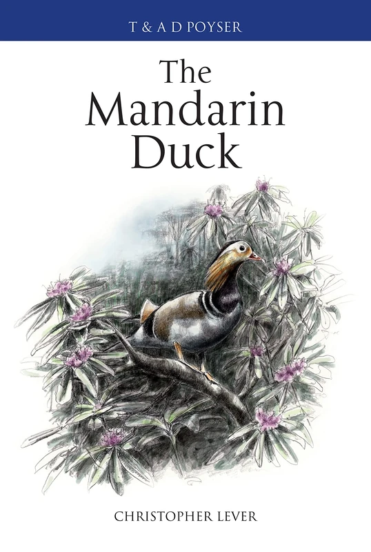 The Mandarin Duck (Poyser Monographs)