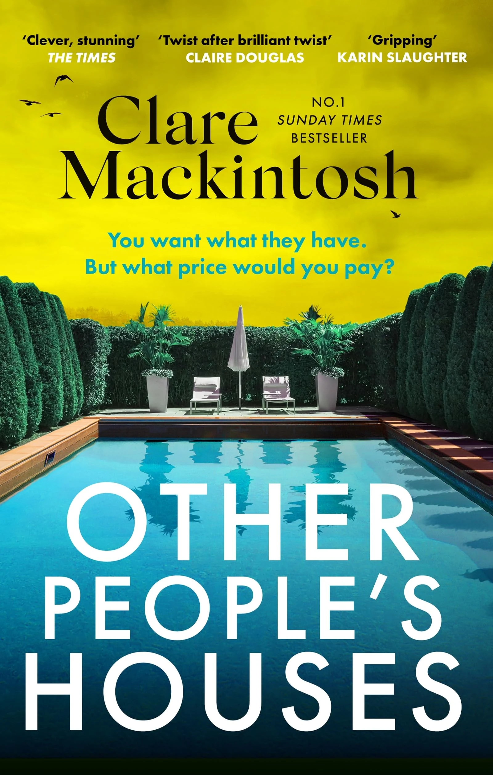 Other People's Houses: The gripping, twisty new thriller (DC Morgan)