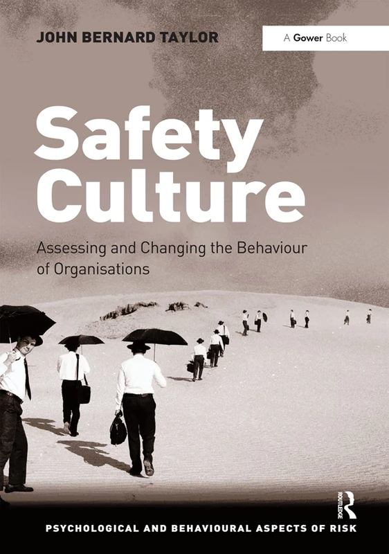 Safety Culture: Assessing and Changing the Behaviour of Organisations (Psychological and Behavioural Aspects of Risk)