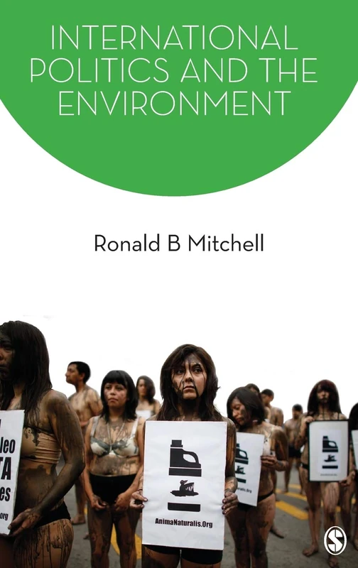International Politics and the Environment (SAGE Series on the Foundations of International Re)
