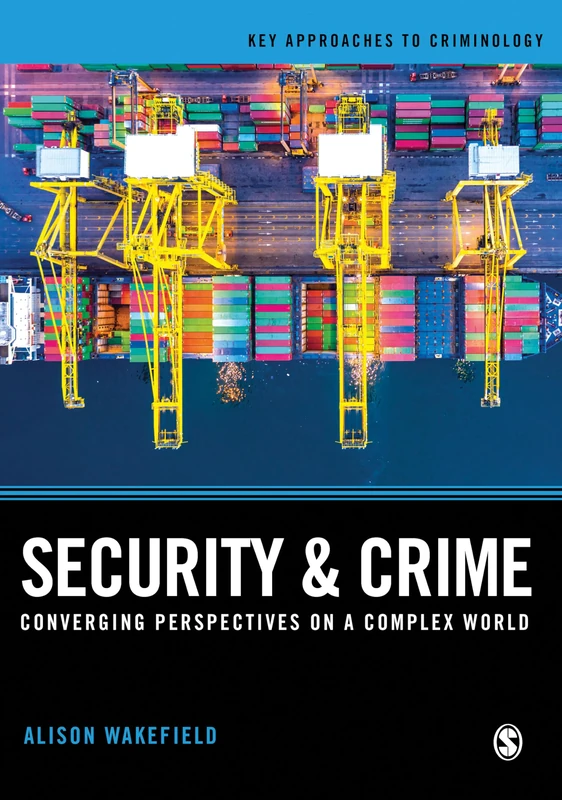 Security and Crime: Converging Perspectives on a Complex World (Key Approaches to Criminology)
