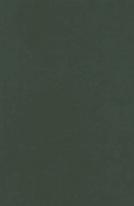 Key Concepts in Governance (SAGE Key Concepts series)