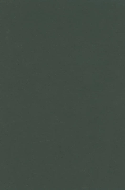 Rethinking Ethnicity