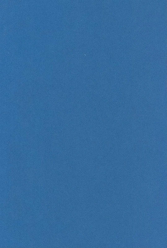 Key Issues for Counselling in Action (Counselling in Action series)