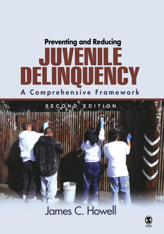Preventing and Reducing Juvenile Delinquency: A Comprehensive Framework